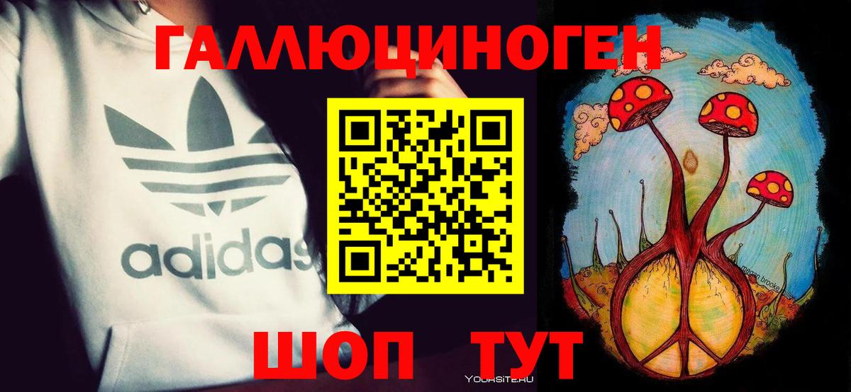 Волгоград  Галлюциногенные грибы Psilocybine cubensis  Псилоцибиновые грибы GOLDEN TEACHER  Вход с VPN 