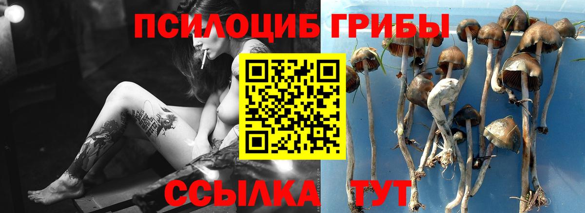 Галлюциногенные грибы мухоморы Волгоград